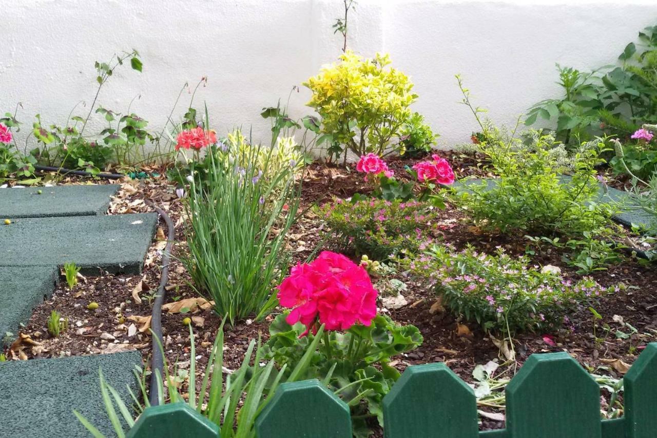 Sunny Orange Garden Apartment In Central リスボン エクステリア 写真
