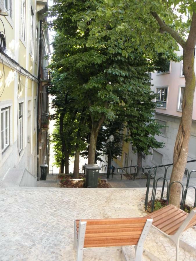 Sunny Orange Garden Apartment In Central リスボン エクステリア 写真