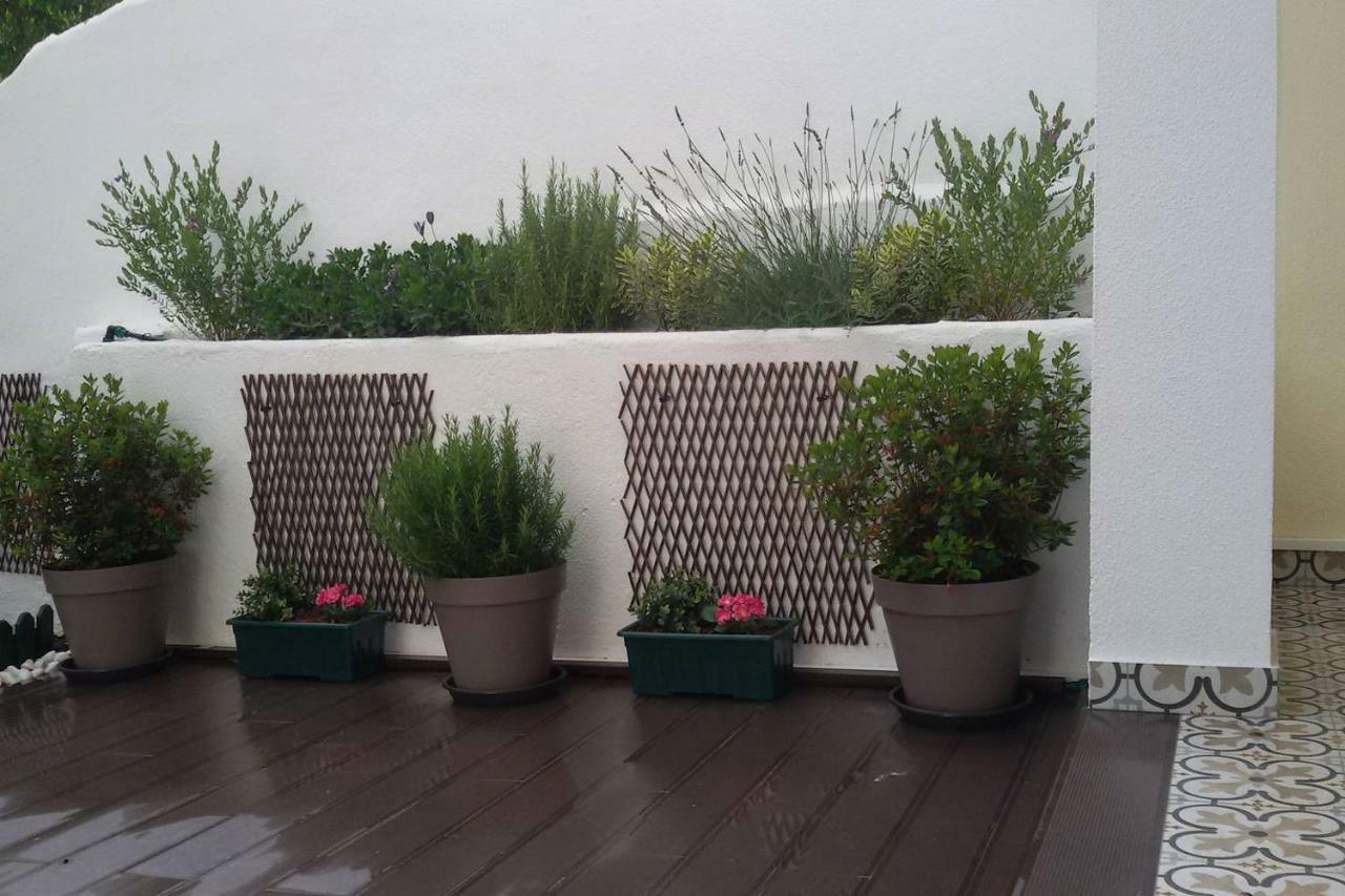 Sunny Orange Garden Apartment In Central リスボン エクステリア 写真