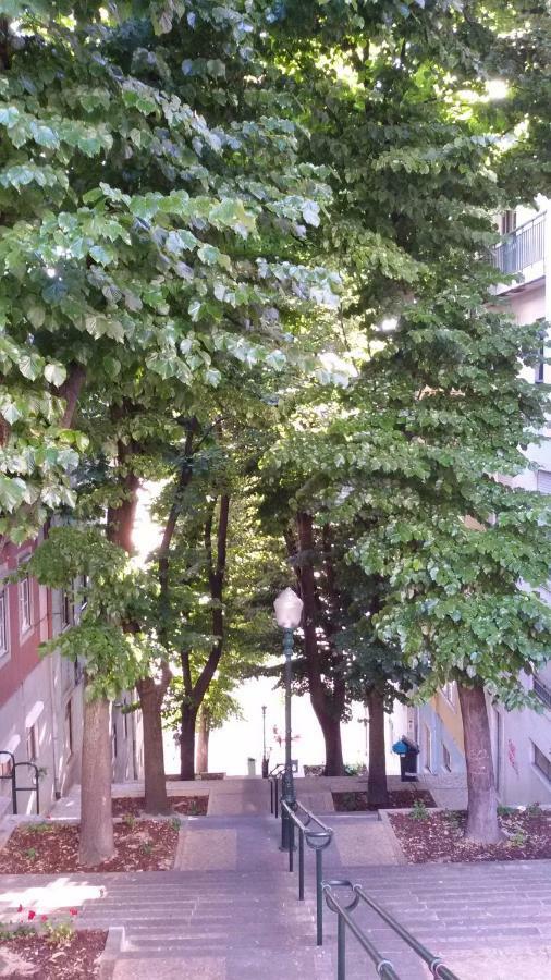 Sunny Orange Garden Apartment In Central リスボン エクステリア 写真