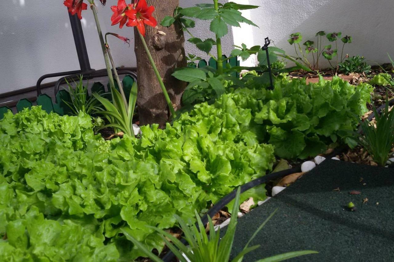 Sunny Orange Garden Apartment In Central リスボン エクステリア 写真
