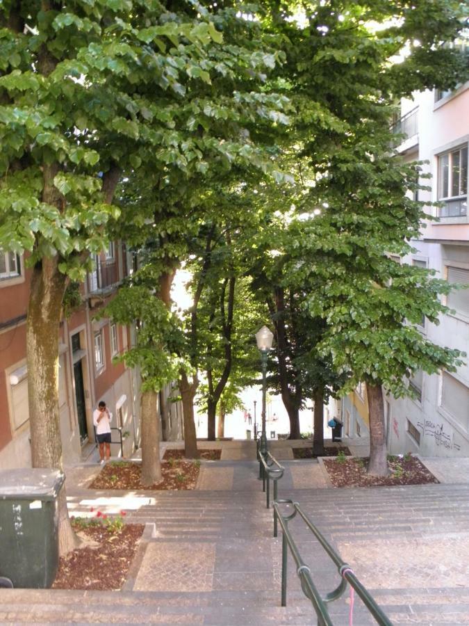 Sunny Orange Garden Apartment In Central リスボン エクステリア 写真